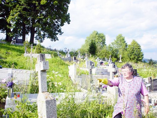 Cemetery in Plavnica